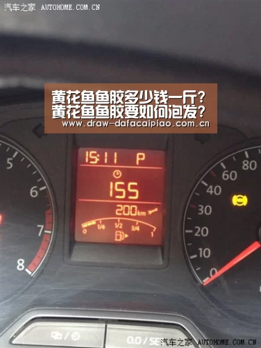 大发彩票app
