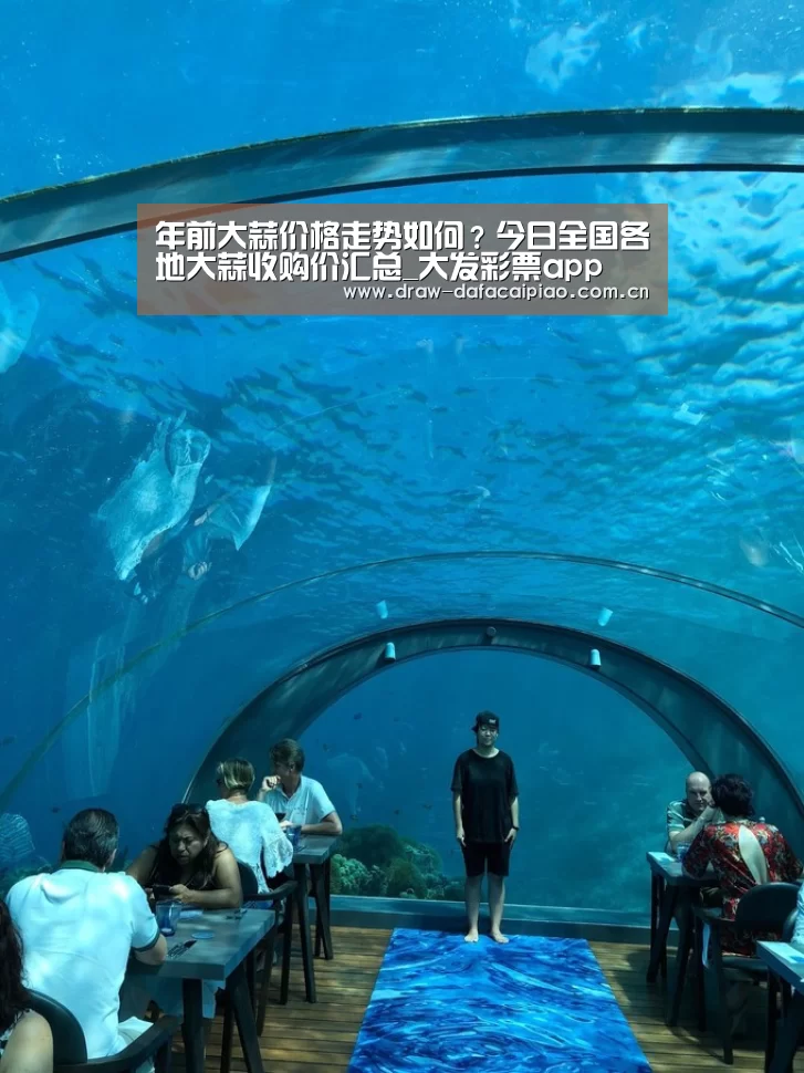 年前大蒜价格走势如何?今日全国各地大蒜收购价汇总_大发彩票app(图4) 大发彩票app