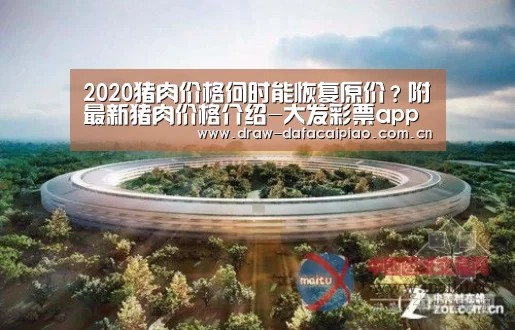 2020猪肉价格何时能恢复原价?附最新猪肉价格介绍-大发彩票app(图1) 大发彩票app